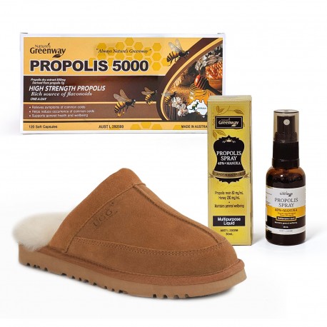 겨울 세트 OB750 어그 맨즈 카터스 슬리퍼 (체스트넛) + NG 프로폴리스 5000 + NG 스프레이 사은품