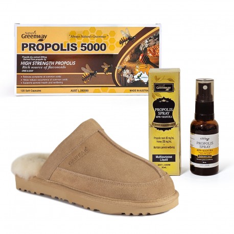 겨울 세트 OB750 어그 맨즈 카터스 슬리퍼 (샌드) + NG 프로폴리스 5000 + NG 스프레이 사은품