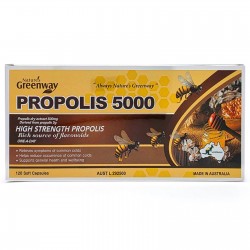 프로폴리스 5000mg 120